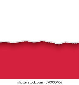 Poland flag, polish  torn paper lacerated banners set with ripped edges and shadows, vintage style layered stripes template with empty space for text for writing, scrapbooking, vector illustration