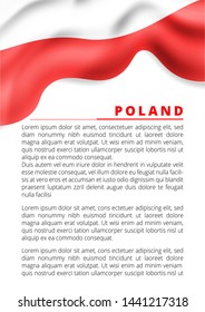 Poland flag, vector illustration on a white background