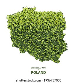 Poland map made up of green leaf on white background vector illustration of a forest is conceptual of the global green environmental issues worldwide