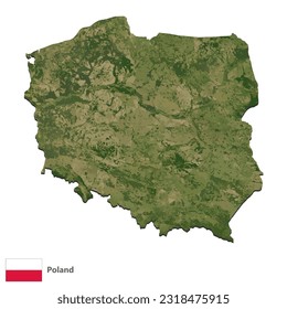 Polonia Topografía País Vector de Mapa