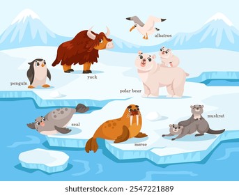 Polar Animal and Cold Arctic Fauna on Ice Plate Vector Illustration