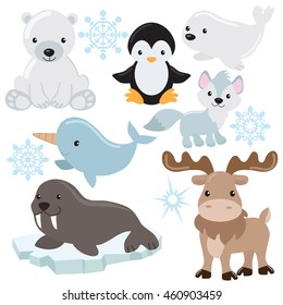 Polar animal vector illustration