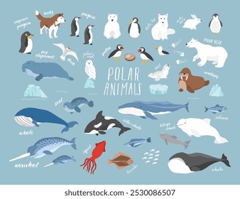 Polar animals collection, cute birds, fish and marine mammals. Arctic wild animals set. Vector illustration.