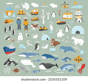 Polar animals collection, cute birds, fish and marine mammals. Arctic wild animals and polar stations set. Vector illustration.