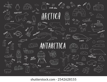 Polar animals collection, cute birds, fish and marine mammals. Arctic wild animals and polar stations set. Vector illustration.