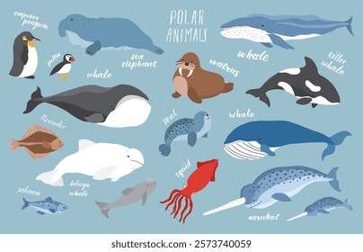 Polar animals collection, cute birds, fish and marine mammals. Arctic wild animals set. Vector illustration.