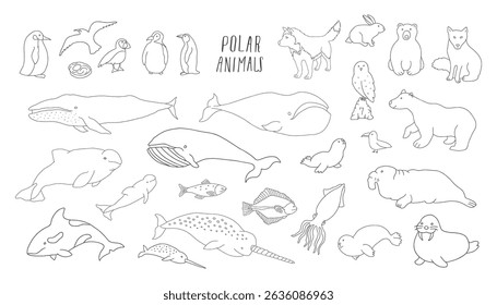 Coleção de animais polares, pássaros bonitos, peixes e mamíferos marinhos. Animais selvagens do Ártico. Ilustração vetorial.