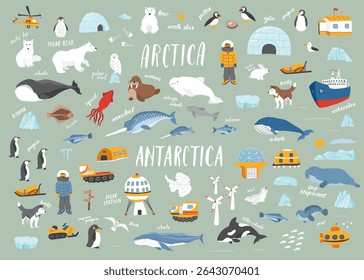 Polar animals collection, cute birds, fish and marine mammals. Arctic wild animals and polar stations set. Vector illustration.