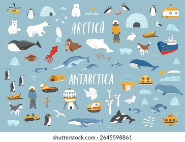 Polar animals collection, cute birds, fish and marine mammals. Arctic wild animals and polar stations set. Vector illustration.