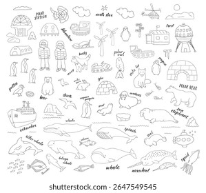 Coleção de animais polares, pássaros bonitos, peixes e mamíferos marinhos. Animais selvagens e estações polares do Ártico. Ilustração vetorial.