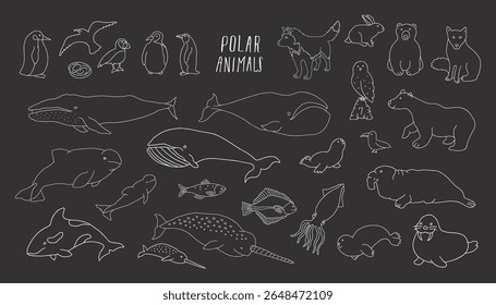 Polar animals collection, cute birds, fish and marine mammals. Arctic wild animals set. Vector illustration.