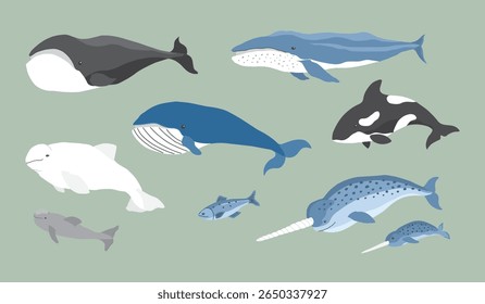Coleção de animais polares, pássaros bonitos, peixes e mamíferos marinhos. Animais selvagens do Ártico. Ilustração vetorial.
