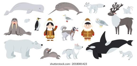 Polar animals. Cute arctic animal, walrus bear whale. Fun antarctic flat wildlife, penguin and alaska baby with dog. Eskimo characters decent vector set