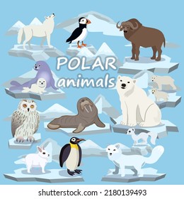 Polar animals on ice floes. Seal, walrus, penguin, musk ox,atlantic puffin, polar bears, scribe, hare.