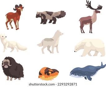 Polar animals set. Bear, musk ox, seal, polar fox, reindeer wild animal vector illustration