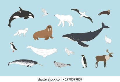 Polar animals set on blue background in vector. Arctic birds and mammals illustration with humpback whale, orca, polar bear, arctic hare, fox, puffin, deer, beluga, owl and more