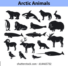 Polar Arctic Animals Collection
