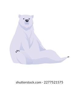 Polar Arctic circle bear animal sitting in funny pose, flat vector illustration isolated on white background. Polar white bear sitting on his hind legs.