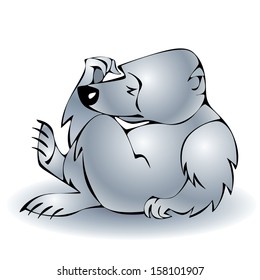Polar bear
