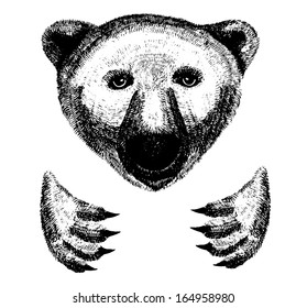 Polar bear