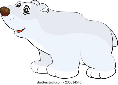 Polar Bear