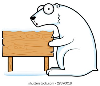 Polar Bear.