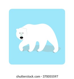 Polar bear