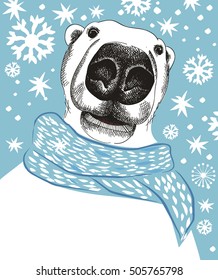 polar bear
