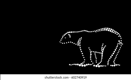 Polar bear
