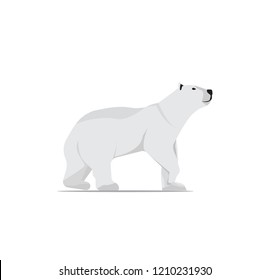 polar bear alone on ice illustration