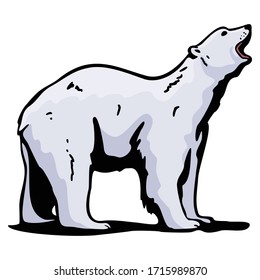 polar bear Animal Cartoon Character Template Collection