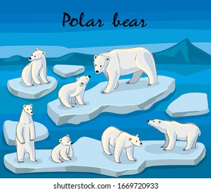 polar bear in arctic vector drawing