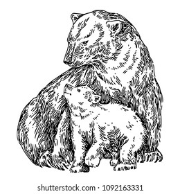 Polar bear with baby. Sketch. Engraving style. Vector illustration.