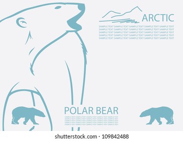 Polar bear background - vector illustration