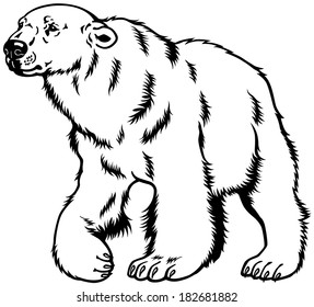 polar bear black and white image