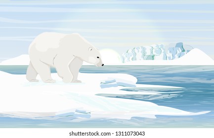 Polar bear by the sea. Floe and drifts. Realistic Landscapes of the Arctic, Canada, Scandinavia.