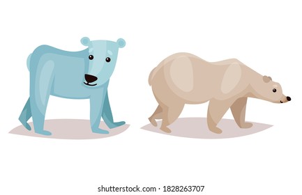 Polar Bear as Carnivore Mammal Isolated on White Background Vector Set