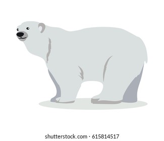 Polar bear cartoon character. Cute polar bear flat vector isolated on white. Arctic fauna species. White bear icon. Animal illustration for zoo ad, nature concept, children book illustrating