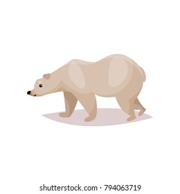 Polar bear cartoon vector Illustration