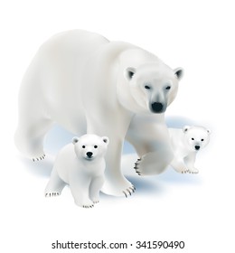 Polar bear and cub. 
Hand drawn vector illustration of a polar bear mother with her offspring on white background.
