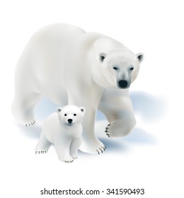 Polar bear and cub. 
Hand drawn vector illustration of a polar bear mother with her offspring on white background.

