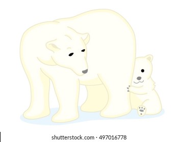 Polar bear and cub, isolated on white background.