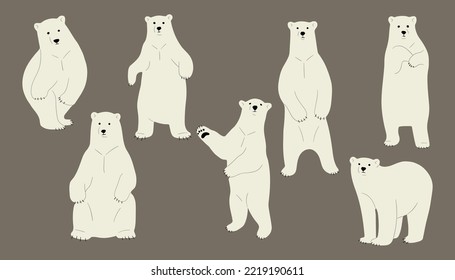 polar bear cute 3, vector illustration