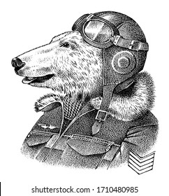 Polar bear dressed up in pilot or airman. Flyboy or skyman. Fashion Animal character sketch. Hand drawn Anthropomorphism. Vector engraved illustration for label, logo and T-shirts or tattoo.