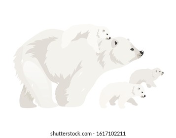 Polar bear family flat color vector illustration. Northern wild adult creature walking cubs. Marine mammal mother with baby. Arctic animal isolated cartoon characters on white background