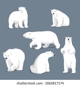 polar bear fashion art collection