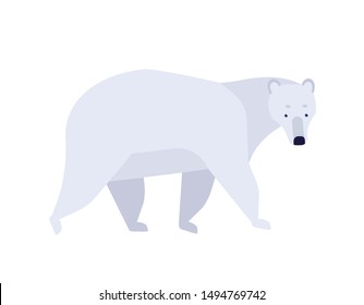 Polar Bear Flat Vector Illustration. Ursus Maritimus Minimalist Drawing. Abstract Arctic Fauna Representative. Cute Mammal With White Fur Clipart. Big Endangered Carnivorous Species.