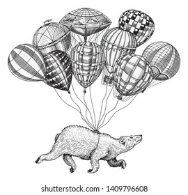 Polar Bear flies on Air Balloons. Vintage retro airship with decorative elements. Wild Animal soars in the sky. Template for travel logo. Hand drawn Engraved sketch.