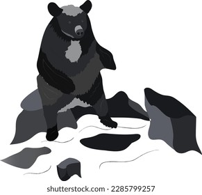 
Oso polar en gris y negro sentado sobre rocas