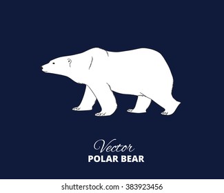 Polar bear hand drawn illustration. Walking or stranding polar bear, side view. Vector sketch.